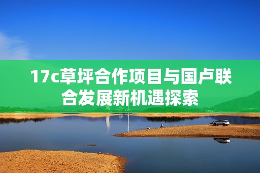 17c草坪合作项目与国卢联合发展新机遇探索
