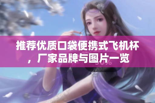 推荐优质口袋便携式飞机杯，厂家品牌与图片一览