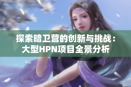 探索暗卫营的创新与挑战：大型HPN项目全景分析
