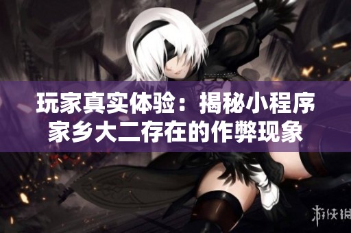 玩家真实体验：揭秘小程序家乡大二存在的作弊现象