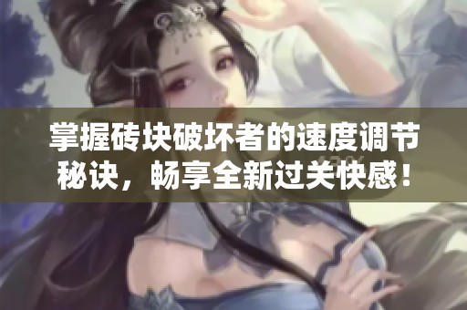 掌握砖块破坏者的速度调节秘诀，畅享全新过关快感！