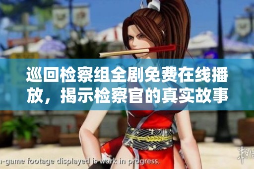 巡回检察组全剧免费在线播放，揭示检察官的真实故事与斗争