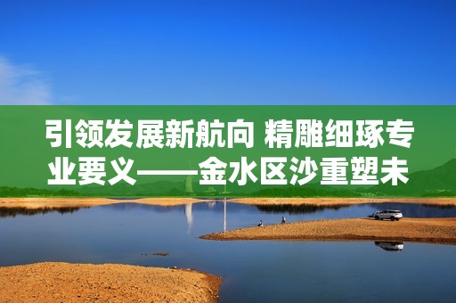 引领发展新航向 精雕细琢专业要义——金水区沙重塑未来