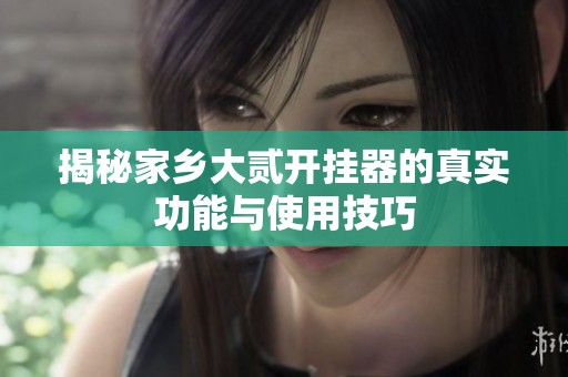 揭秘家乡大贰开挂器的真实功能与使用技巧