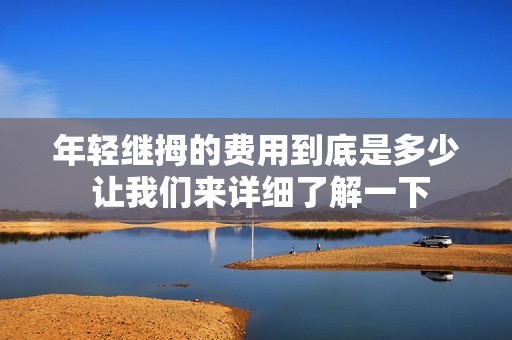 年轻继拇的费用到底是多少 让我们来详细了解一下