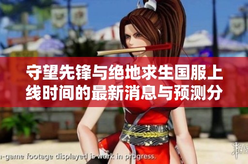 守望先锋与绝地求生国服上线时间的最新消息与预测分析