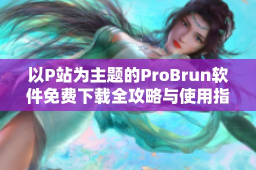 以P站为主题的ProBrun软件免费下载全攻略与使用指南