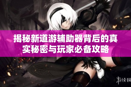 揭秘新道游辅助器背后的真实秘密与玩家必备攻略