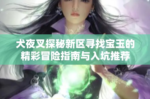 犬夜叉探秘新区寻找宝玉的精彩冒险指南与入坑推荐
