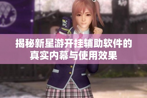 揭秘新星游开挂辅助软件的真实内幕与使用效果