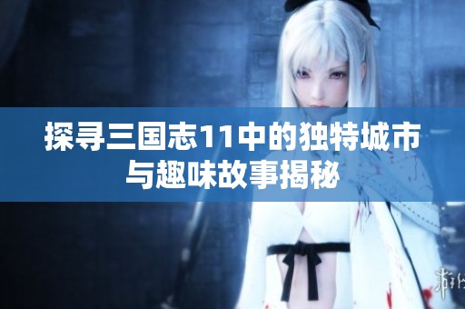 探寻三国志11中的独特城市与趣味故事揭秘