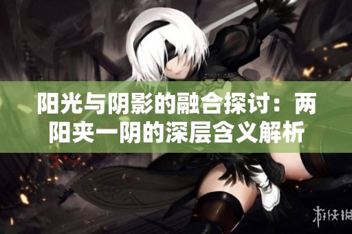 阳光与阴影的融合探讨：两阳夹一阴的深层含义解析