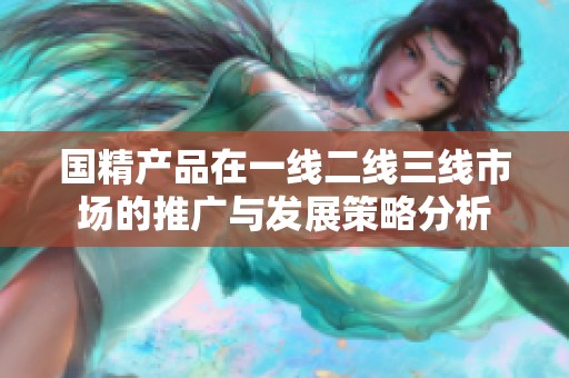 国精产品在一线二线三线市场的推广与发展策略分析