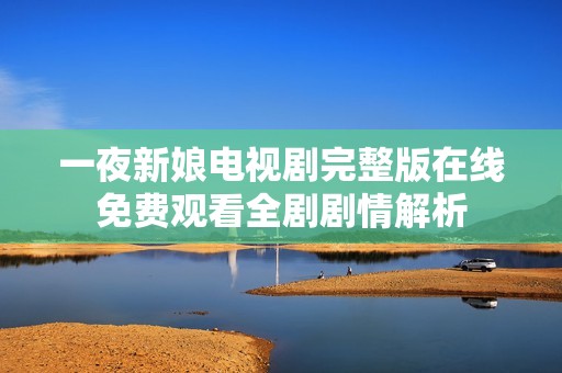 一夜新娘电视剧完整版在线免费观看全剧剧情解析