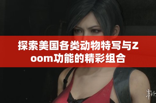 探索美国各类动物特写与Zoom功能的精彩组合