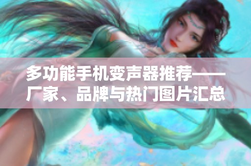 多功能手机变声器推荐——厂家、品牌与热门图片汇总