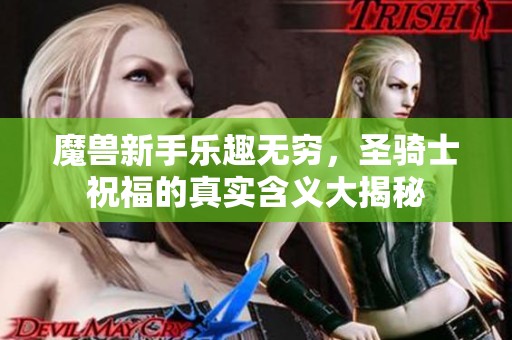 魔兽新手乐趣无穷，圣骑士祝福的真实含义大揭秘