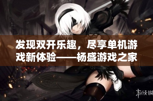 发现双开乐趣，尽享单机游戏新体验——杨盛游戏之家探秘