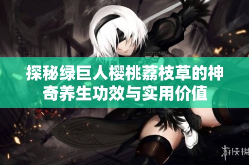 探秘绿巨人樱桃荔枝草的神奇养生功效与实用价值