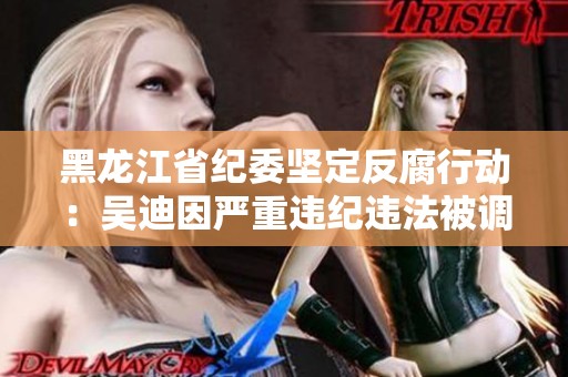 黑龙江省纪委坚定反腐行动：吴迪因严重违纪违法被调查