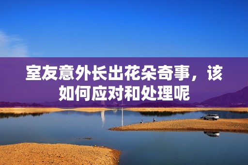室友意外长出花朵奇事，该如何应对和处理呢
