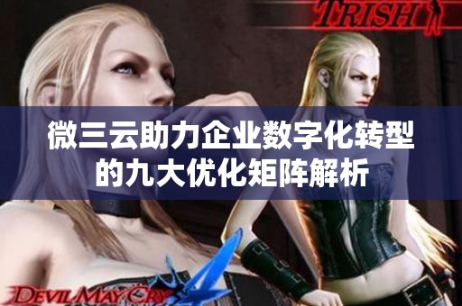 微三云助力企业数字化转型的九大优化矩阵解析