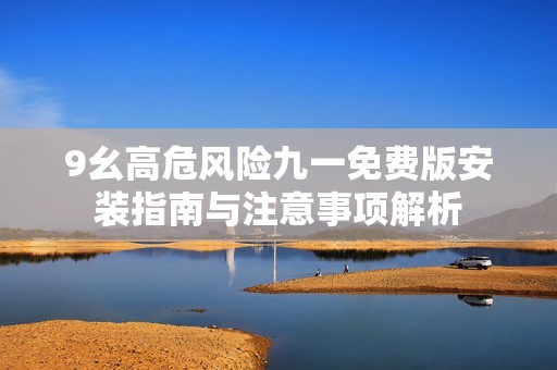 9幺高危风险九一免费版安装指南与注意事项解析