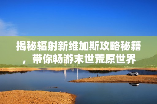 揭秘辐射新维加斯攻略秘籍，带你畅游末世荒原世界