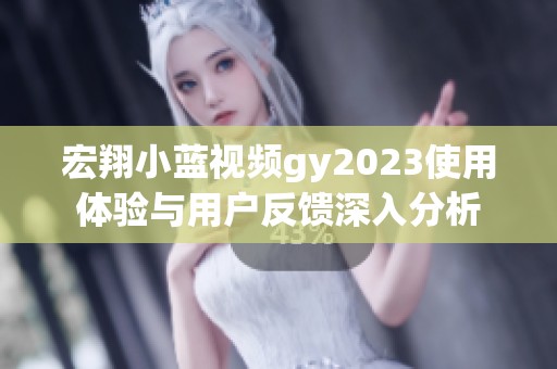宏翔小蓝视频gy2023使用体验与用户反馈深入分析