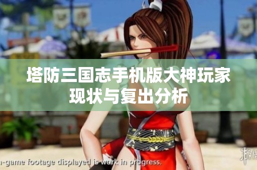 塔防三国志手机版大神玩家现状与复出分析