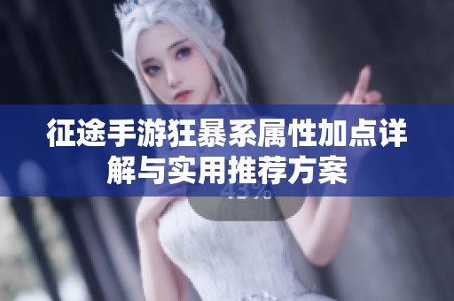 征途手游狂暴系属性加点详解与实用推荐方案