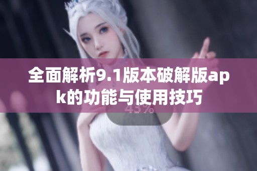 全面解析9.1版本破解版apk的功能与使用技巧