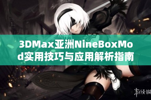 3DMax亚洲NineBoxMod实用技巧与应用解析指南
