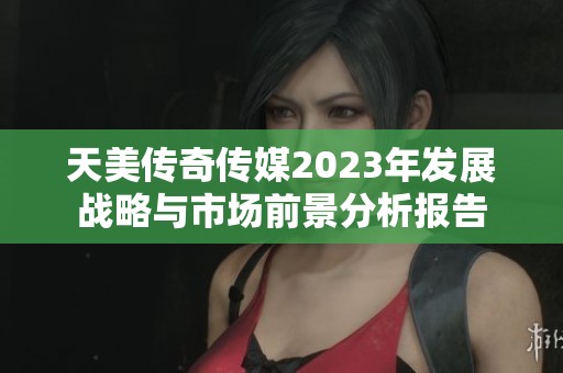 天美传奇传媒2023年发展战略与市场前景分析报告