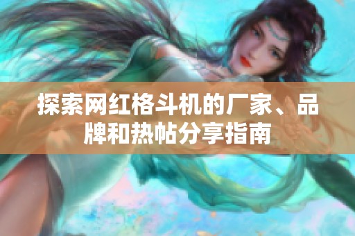 探索网红格斗机的厂家、品牌和热帖分享指南