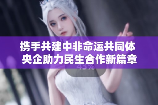 携手共建中非命运共同体 央企助力民生合作新篇章