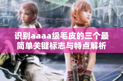 识别aaaa级毛皮的三个最简单关键标志与特点解析