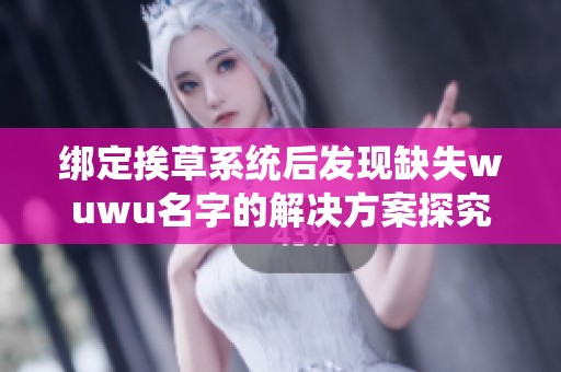 绑定挨草系统后发现缺失wuwu名字的解决方案探究