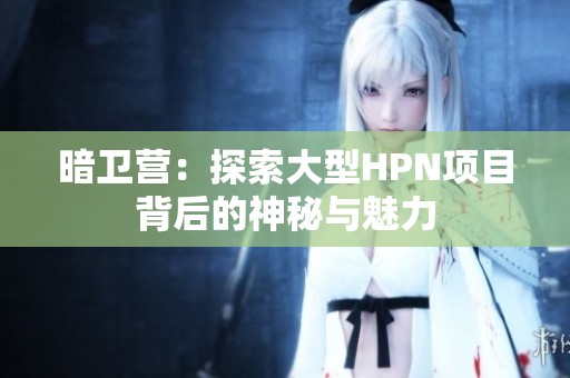 暗卫营：探索大型HPN项目背后的神秘与魅力