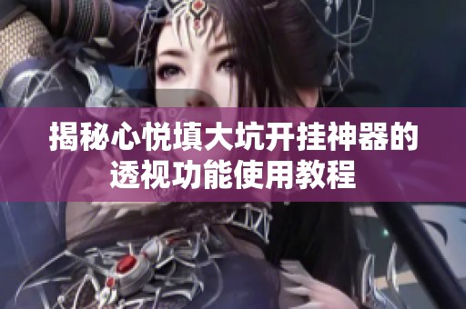 揭秘心悦填大坑开挂神器的透视功能使用教程