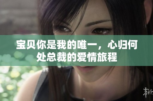 宝贝你是我的唯一，心归何处总裁的爱情旅程