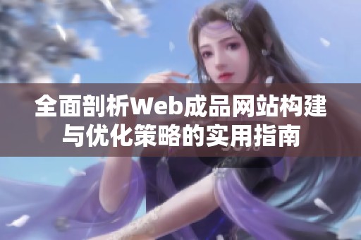 全面剖析Web成品网站构建与优化策略的实用指南