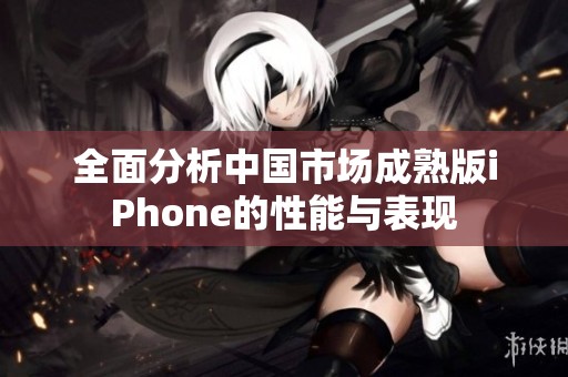 全面分析中国市场成熟版iPhone的性能与表现