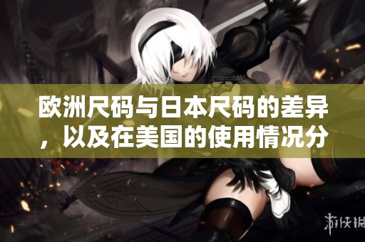 欧洲尺码与日本尺码的差异，以及在美国的使用情况分析