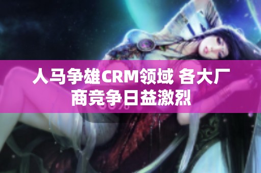 人马争雄CRM领域 各大厂商竞争日益激烈