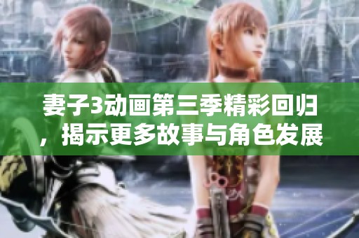 妻子3动画第三季精彩回归，揭示更多故事与角色发展