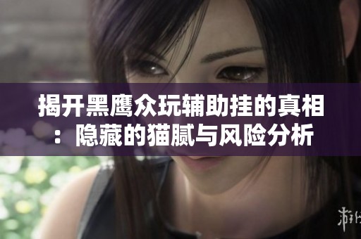 揭开黑鹰众玩辅助挂的真相：隐藏的猫腻与风险分析