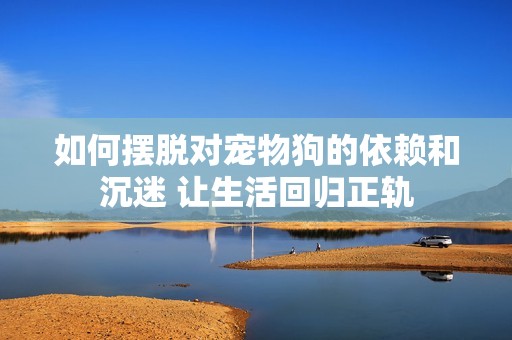 如何摆脱对宠物狗的依赖和沉迷 让生活回归正轨