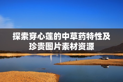 探索穿心莲的中草药特性及珍贵图片素材资源