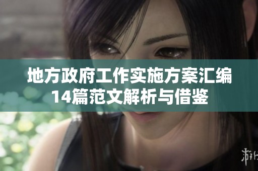 地方政府工作实施方案汇编14篇范文解析与借鉴
